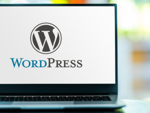 wordpress-guide-header-1024x465.png